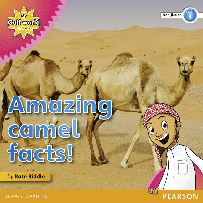 Kate Riddle - My Gulf World and Me Level 3 non-fiction reader: Amazing camel facts!, Häftad