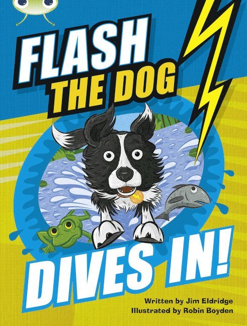 Bug Club Independent Fiction Year 3 Brown B Flash the Dog Dives In! 1