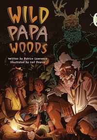 bokomslag Bug Club Independent Fiction Year 6 Red B Wild Papa Woods