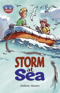 bokomslag Storyworlds Bridges Stage 11 Storm at Sea (single)
