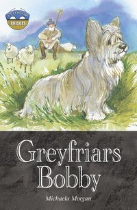 bokomslag Storyworlds Bridges Stage 12 Greyfriars Bobby (single)