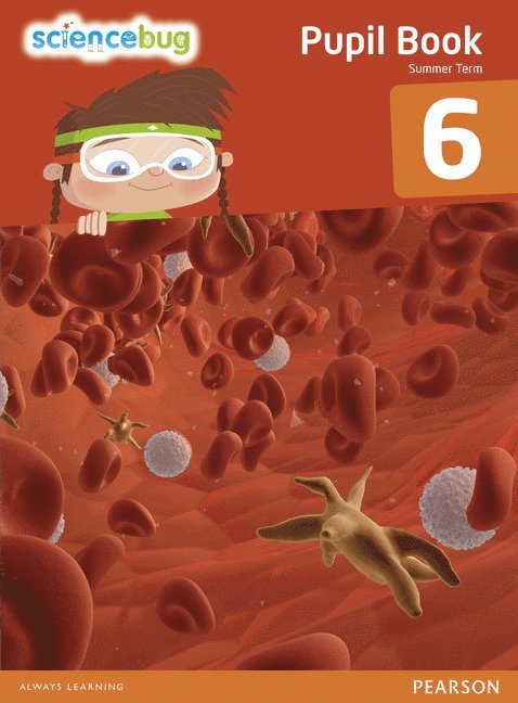 Debbie Eccles, Deborah Herridge, Anne Goldsworthy, Tanya Shields - Science Bug Pupil Book Year 6, Häftad