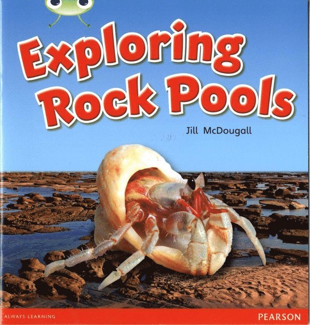Jill McDougall, Jill Mcdougall - Bug Club Guided Non Fiction Year 1 Green C Exploring Rock Pools, Häftad