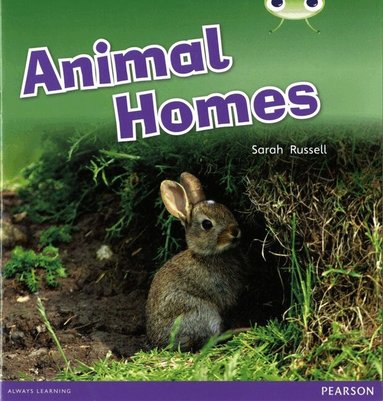 Sarah Russell - Bug Club Guided Non Fiction Reception Pink B Animal Homes, Häftad