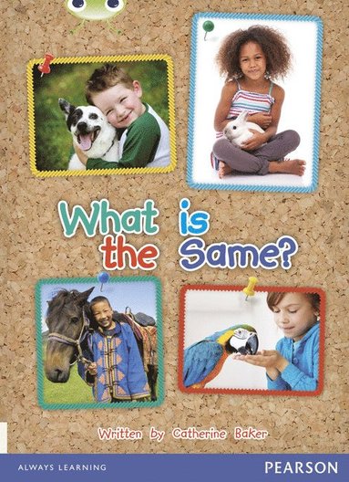 bokomslag Bug Club Guided Non Fiction Reception Non Fiction Red B What is the Same?
