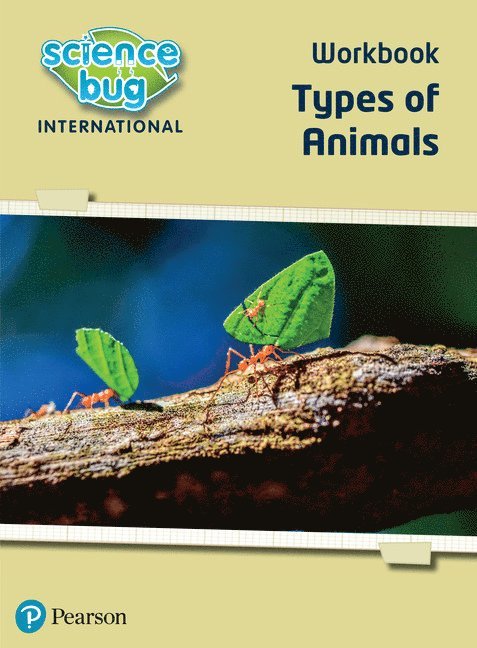 Science Bug: Types of animals Workbook 1