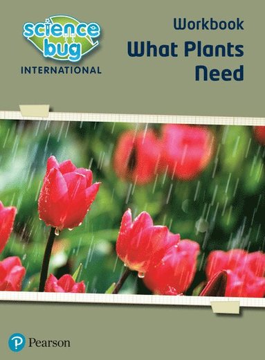 bokomslag Science Bug: What plants need Workbook