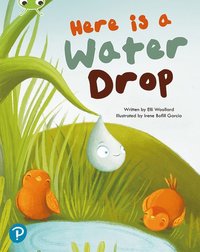 bokomslag Bug Club Shared Reading: Here is a Water Drop (Year 2)