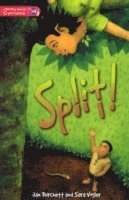 Literacy World Comets Stage 2 Novel  Split 1