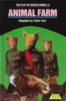bokomslag The Play of Animal Farm