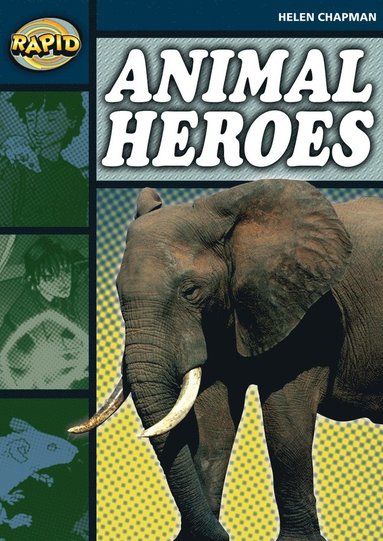 bokomslag Rapid Reading: Animal Heroes (Stage 6 Level 6B)