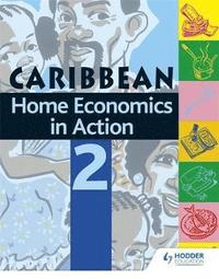 bokomslag Home Economics In Action Book 2