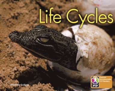 bokomslag PYP L6 Life Cycles single