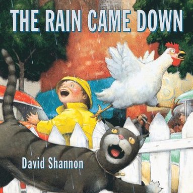 David Shannon - The Rain Came Down, Inbunden