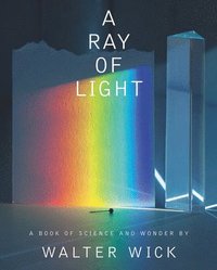 bokomslag Ray Of Light