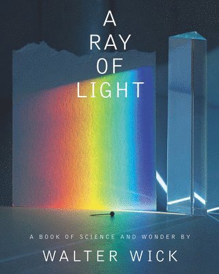 bokomslag A Ray of Light