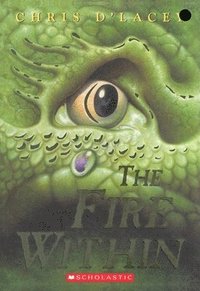 bokomslag The Fire Within (the Last Dragon Chronicles #1): Volume 1