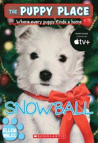 bokomslag Snowball (the Puppy Place #2)