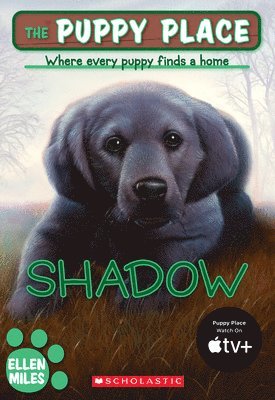 The Puppy Place #3: Shadow 1