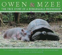 bokomslag Owen and Mzee: The True Story of a Remarkable Friendship