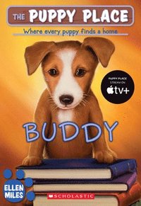 bokomslag Buddy (the Puppy Place #5): Volume 5