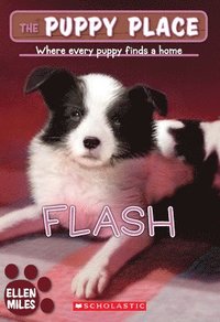 bokomslag Flash (the Puppy Place #6)