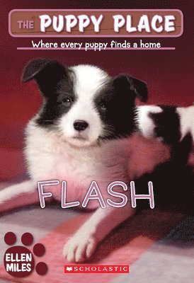 Flash (the Puppy Place #6) 1