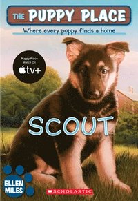bokomslag The Puppy Place #7: Scout