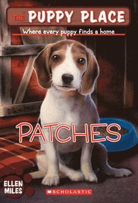 bokomslag Patches (the Puppy Place #8)