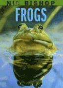 Nic Bishop: Frogs 1