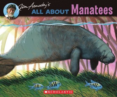 bokomslag All about Manatees