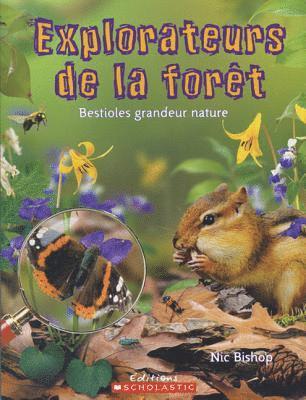 Nic Bishop - Explorateurs de la For?t: Bestioles Grandeur Nature, Häftad