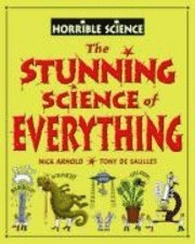 bokomslag Stunning Science Of Everything