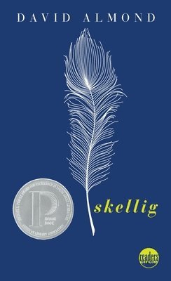 Skellig 1