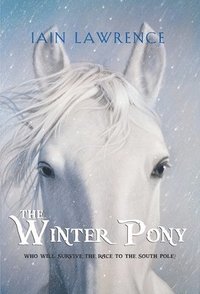 bokomslag The Winter Pony