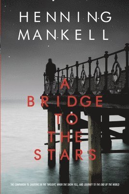 A Bridge to the Stars 1