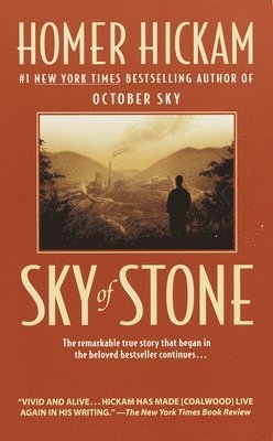 bokomslag Sky of Stone
