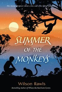 bokomslag Summer Of The Monkeys