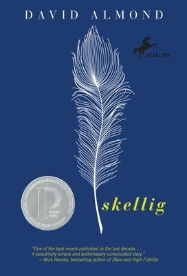 Skellig 1