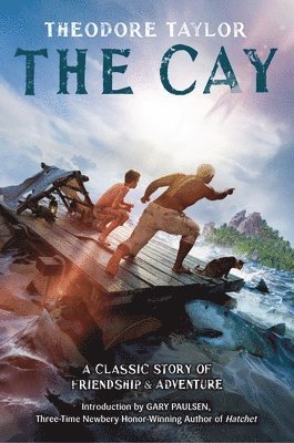 Theodore Taylor - The Cay, Häftad