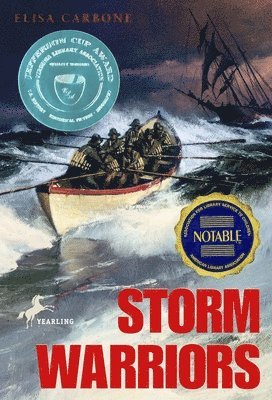 bokomslag Storm Warriors
