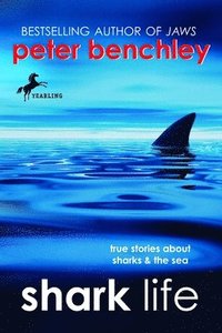 bokomslag Shark Life: True Stories about Sharks & the Sea