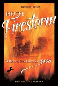 bokomslag Into the Firestorm