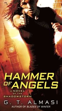 bokomslag Hammer of Angels