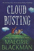bokomslag Cloud Busting