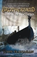 bokomslag Slaves of Socorro (Brotherband Book 4)