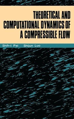 Theoretical Computational Dynamics