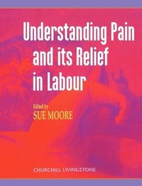 bokomslag Understanding Pain and Its Relief in Labour