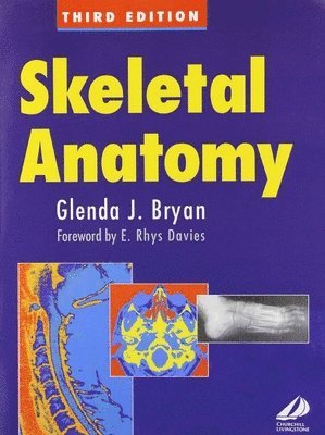 Skeletal Anatomy 1