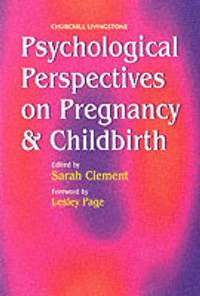 bokomslag Psychological Perspectives on Pregnancy and Childbirth